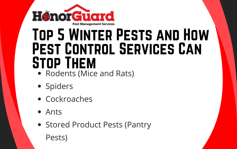 Top 5 Winter Pests and How Pest Control Services Can Stop Them - HonorGuard